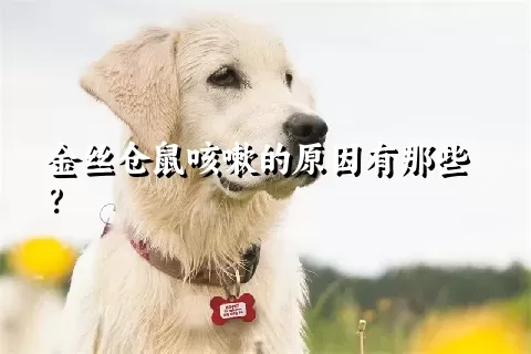 金丝仓鼠咳嗽的原因有那些？ 