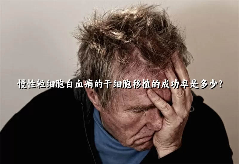 慢性粒细胞白血病的干细胞移植的成功率是多少？