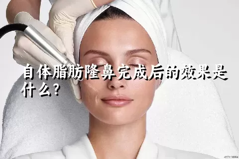 自体脂肪隆鼻完成后的效果是什么？