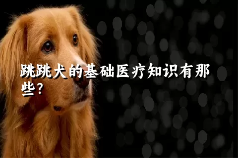 跳跳犬的基础医疗知识有那些？