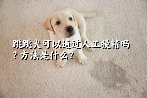 跳跳犬可以通过人工授精吗？方法是什么？