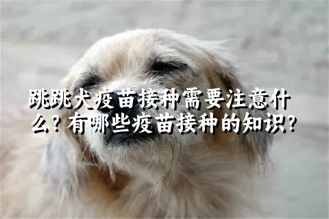 跳跳犬疫苗接种需要注意什么？有哪些疫苗接种的知识？