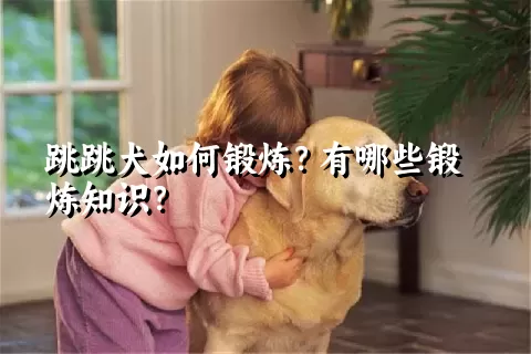 跳跳犬如何锻炼？有哪些锻炼知识？