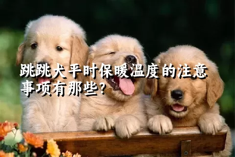 跳跳犬平时保暖温度的注意事项有那些？ 