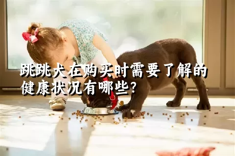 跳跳犬在购买时需要了解的健康状况有哪些？