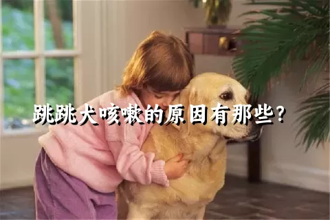 跳跳犬咳嗽的原因有那些？ 