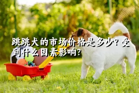 跳跳犬的市场价格是多少？受到什么因素影响？