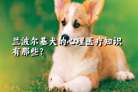 兰波尔基犬的心理医疗知识有那些？