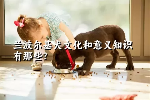 兰波尔基犬文化和意义知识有那些？