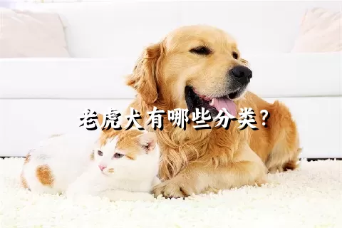 老虎犬有哪些分类？