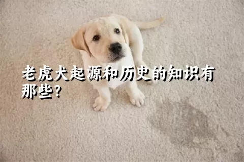 老虎犬起源和历史的知识有那些？