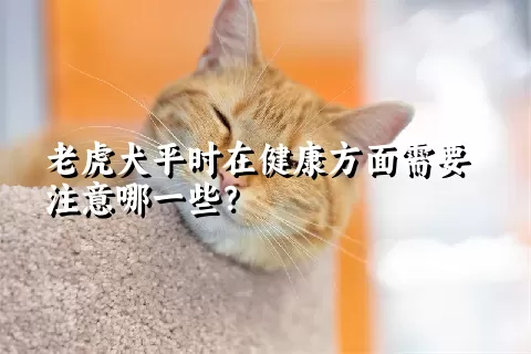 老虎犬平时在健康方面需要注意哪一些？