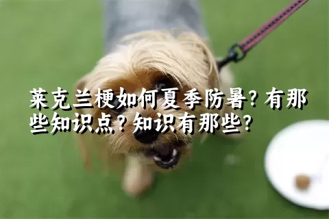 莱克兰梗如何夏季防暑？有那些知识点？知识有那些？