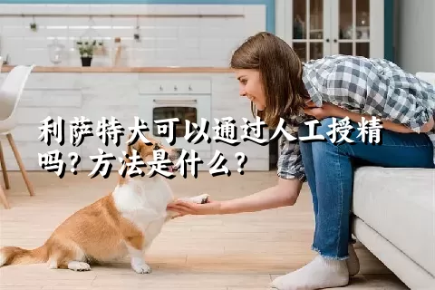 利萨特犬可以通过人工授精吗？方法是什么？