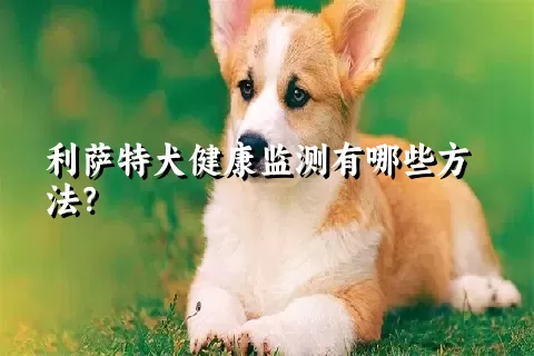 利萨特犬健康监测有哪些方法？