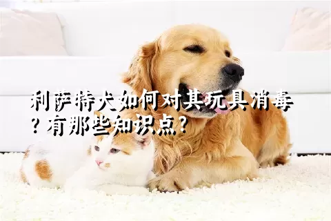 利萨特犬如何对其玩具消毒？有那些知识点？