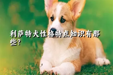 利萨特犬性格特点知识有那些？