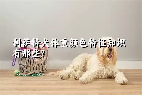 利萨特犬体重颜色特征知识有那些？