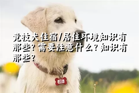 竞技犬住宿/居住环境知识有那些？需要注意什么？知识有那些？