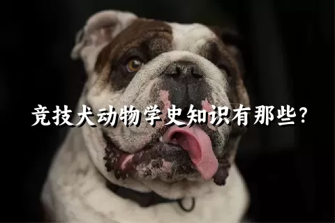 竞技犬动物学史知识有那些？