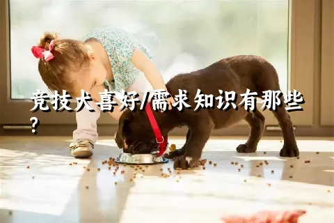 竞技犬喜好/需求知识有那些？