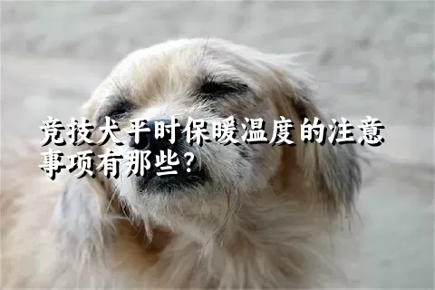 竞技犬平时保暖温度的注意事项有那些？ 