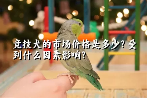 竞技犬的市场价格是多少？受到什么因素影响？