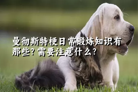 曼彻斯特梗日常锻炼知识有那些？需要注意什么？