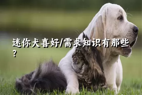 迷你犬喜好/需求知识有那些？