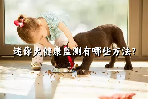 迷你犬健康监测有哪些方法？