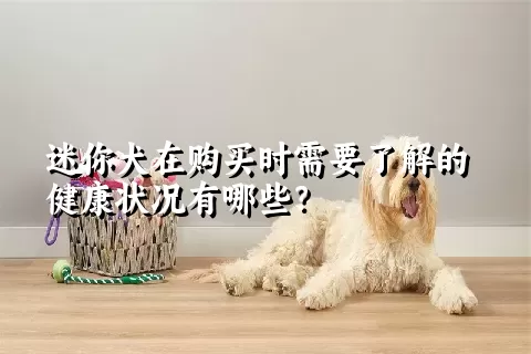 迷你犬在购买时需要了解的健康状况有哪些？