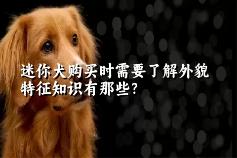 迷你犬购买时需要了解外貌特征知识有那些？  