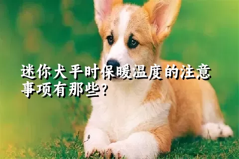 迷你犬平时保暖温度的注意事项有那些？ 