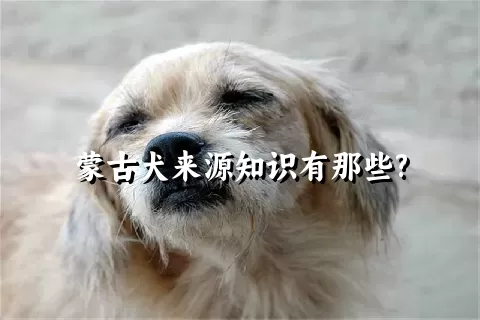 蒙古犬来源知识有那些?