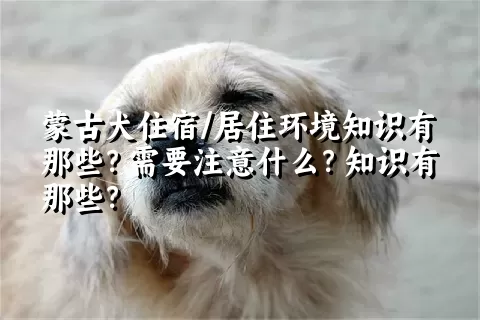 蒙古犬住宿/居住环境知识有那些？需要注意什么？知识有那些？