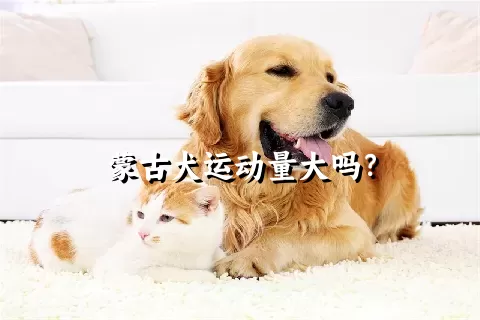 蒙古犬运动量大吗？