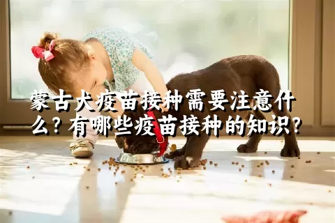 蒙古犬疫苗接种需要注意什么？有哪些疫苗接种的知识？