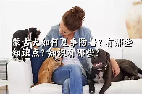 蒙古犬如何夏季防暑？有那些知识点？知识有那些？