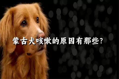 蒙古犬咳嗽的原因有那些？ 