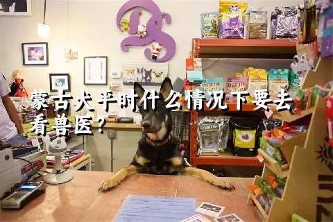 蒙古犬平时什么情况下要去看兽医？ 