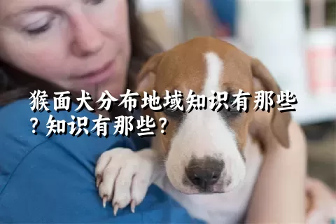 猴面犬分布地域知识有那些？知识有那些？