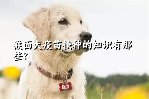 猴面犬疫苗接种的知识有那些？