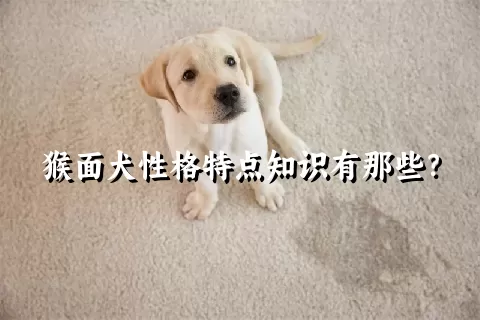 猴面犬性格特点知识有那些？