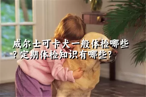 威尔士可卡犬一般体检哪些？定期体检知识有哪些？