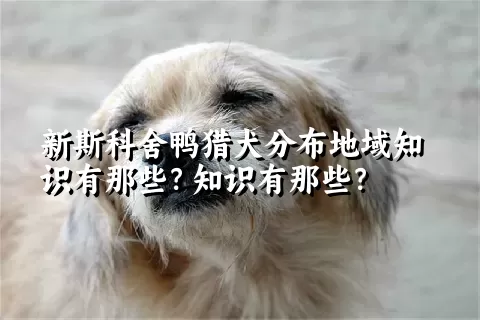 新斯科舍鸭猎犬分布地域知识有那些？知识有那些？