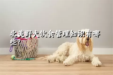 北美野犬饮食管理知识有哪些？ 