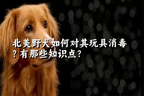 北美野犬如何对其玩具消毒？有那些知识点？