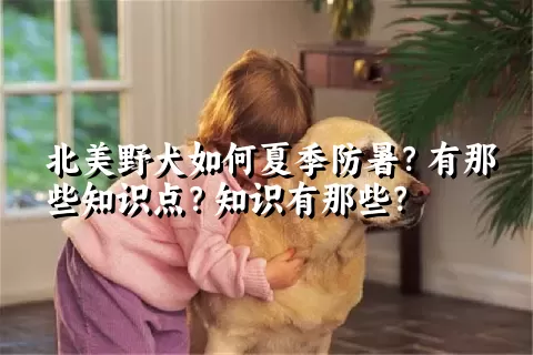 北美野犬如何夏季防暑？有那些知识点？知识有那些？