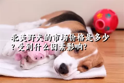 北美野犬的市场价格是多少？受到什么因素影响？