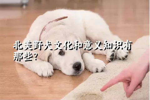 北美野犬文化和意义知识有那些？